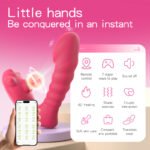 Overview of PawSense Wellness Device smart features including remote control, heating, and portable design